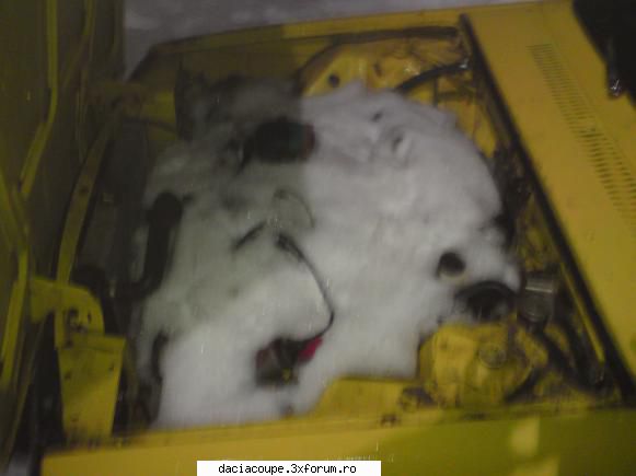 Viespea - Am facut si la motor o poza sa vedeti cat de mult - Coupe-ul meu